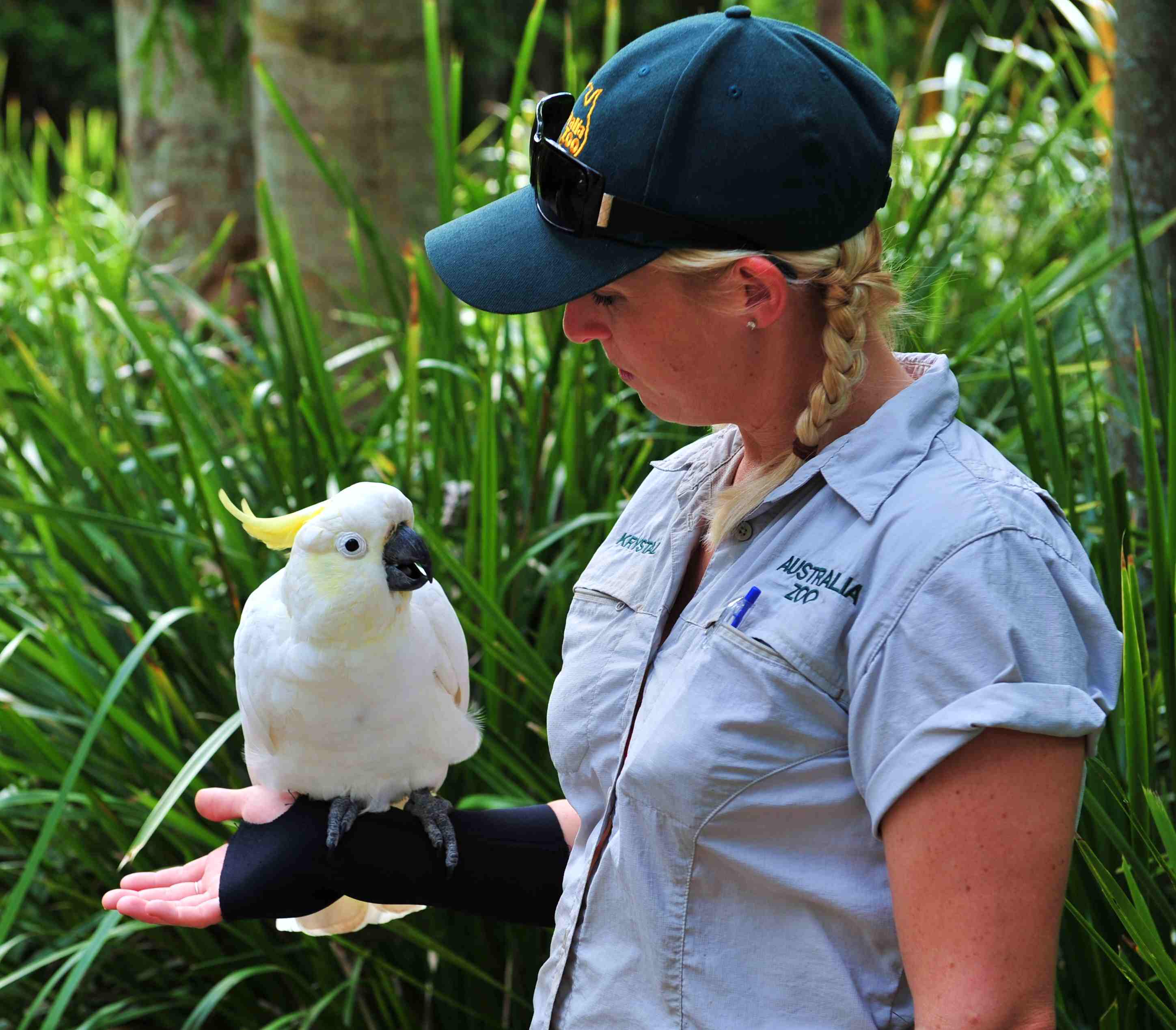 Animal Caretaker