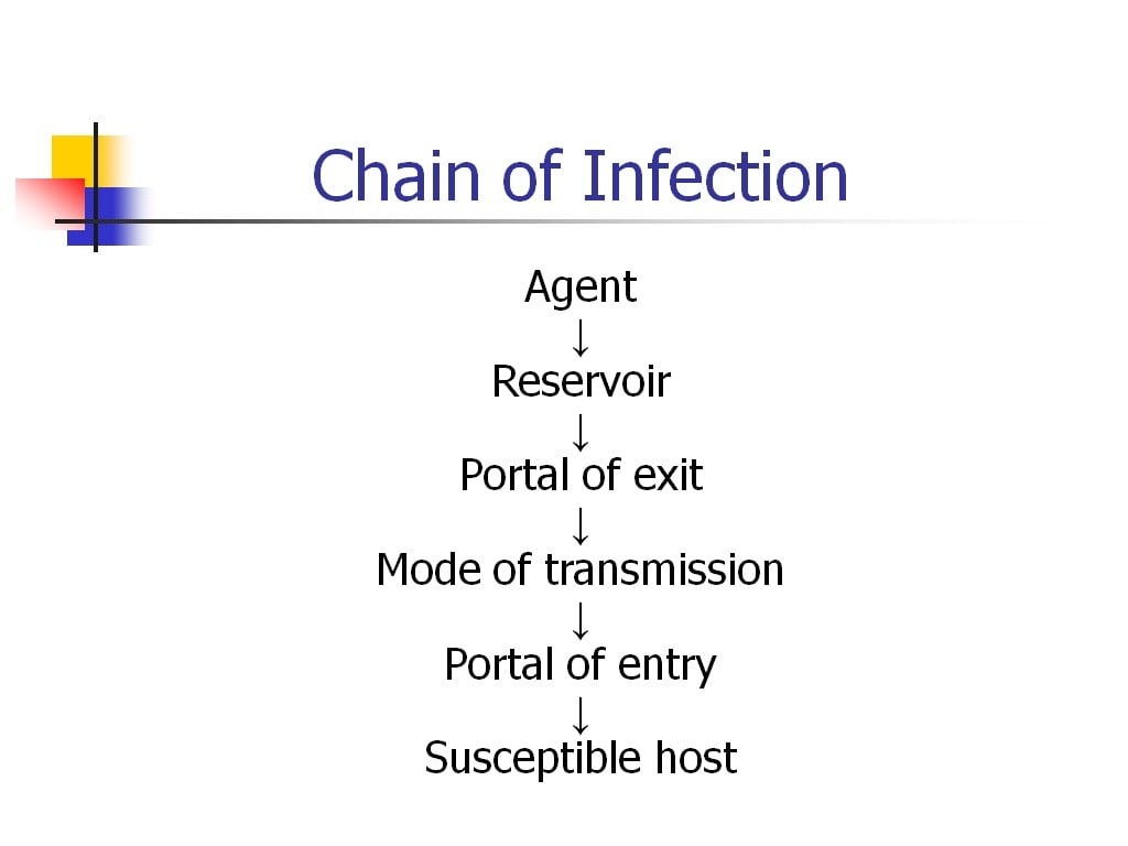 bloodborne pathogens