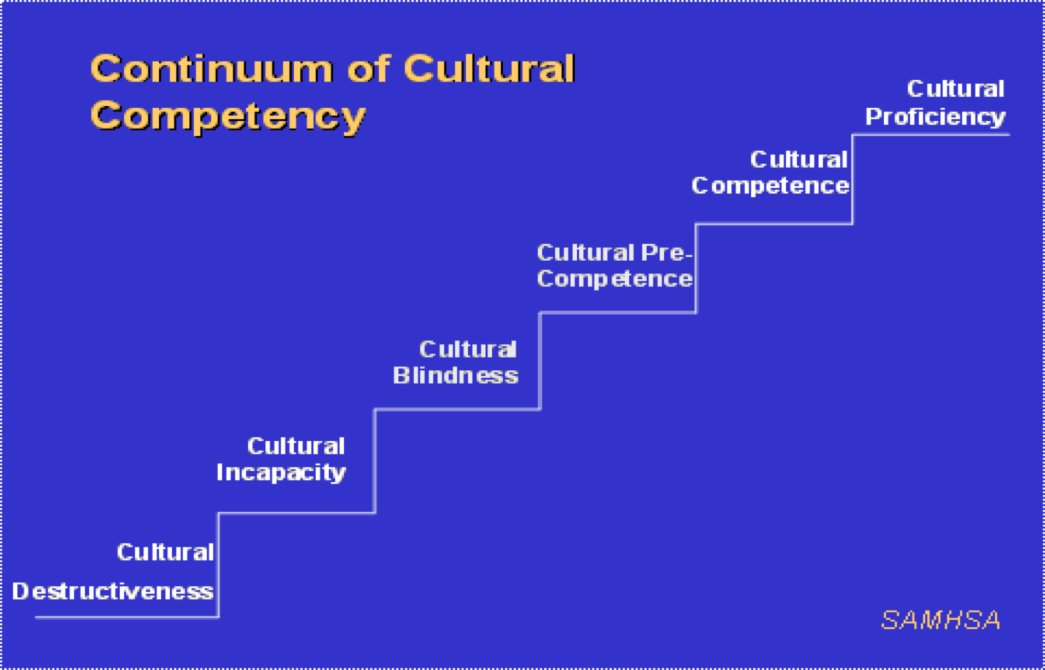 cultural competency