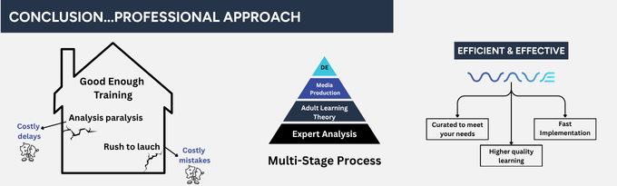 Professional approach to effective training
